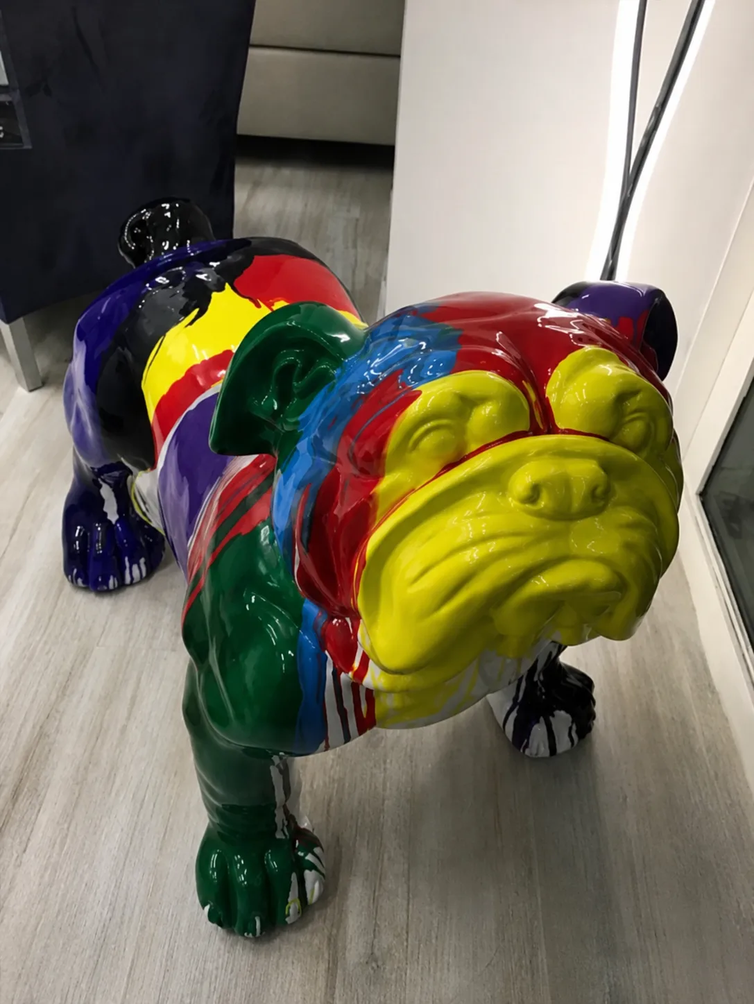 Mascota en Marbella